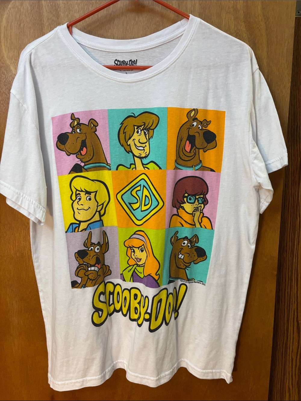 Scooby-Doo Graphic Colorblock Tee